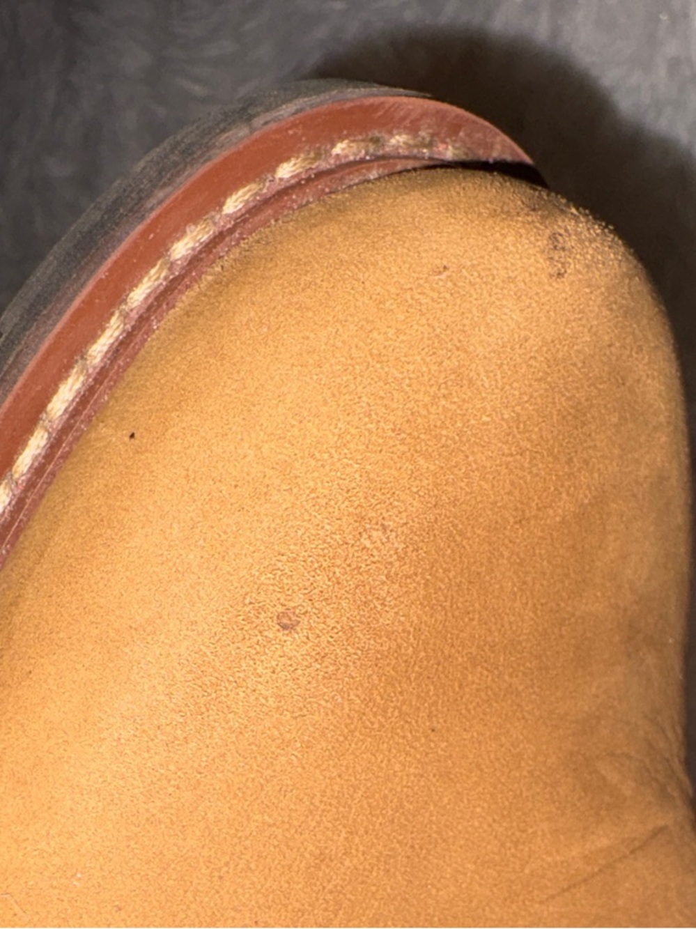 Ariat Sadie Waterproof Boot - Brown - Picture 15 of 16